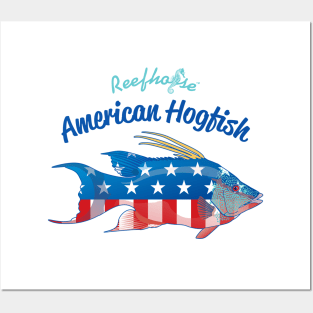 American Hogfish Posters and Art